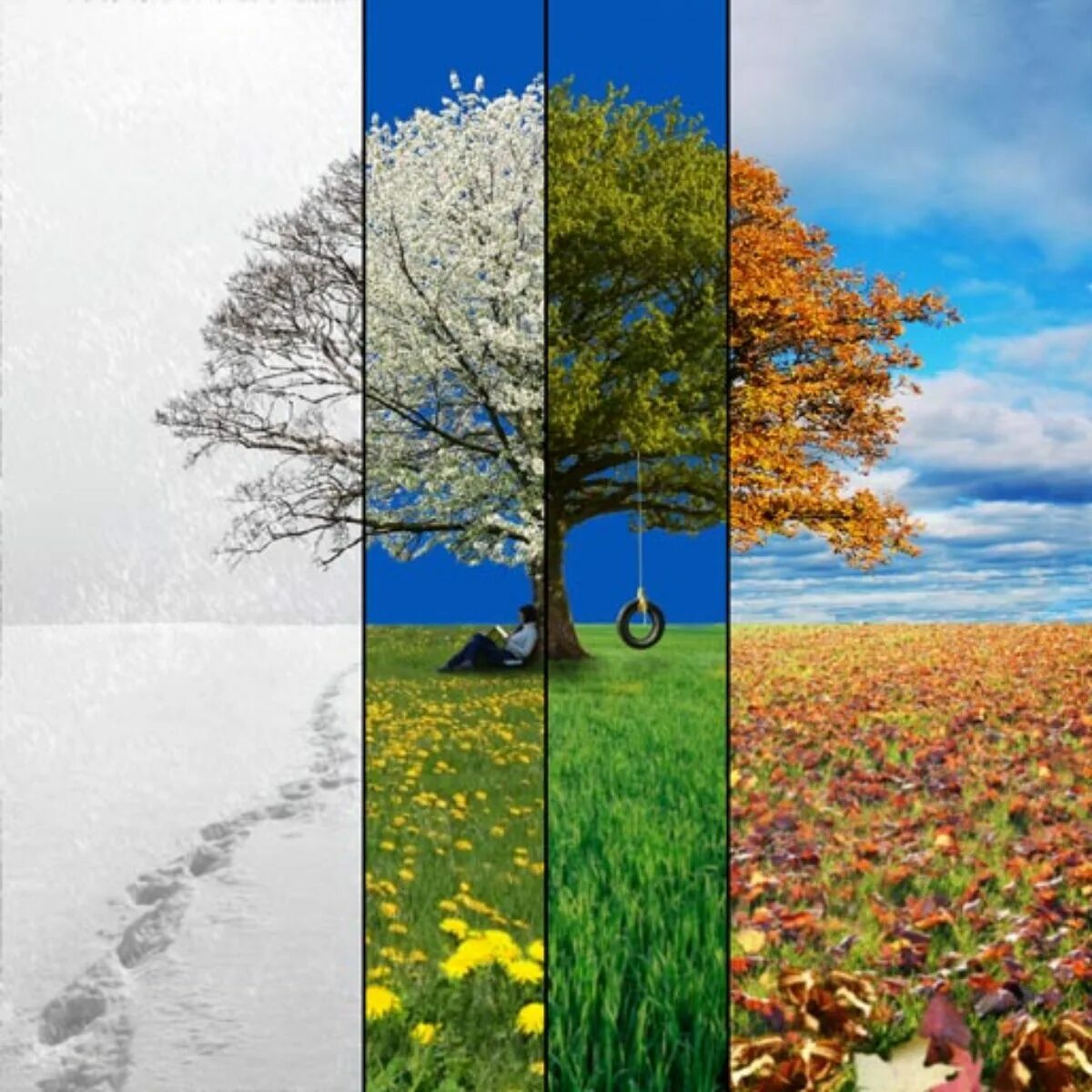 There are four seasons. Пейзаж времена года. Сезонные пейзажи. Пейзаж по временам года.