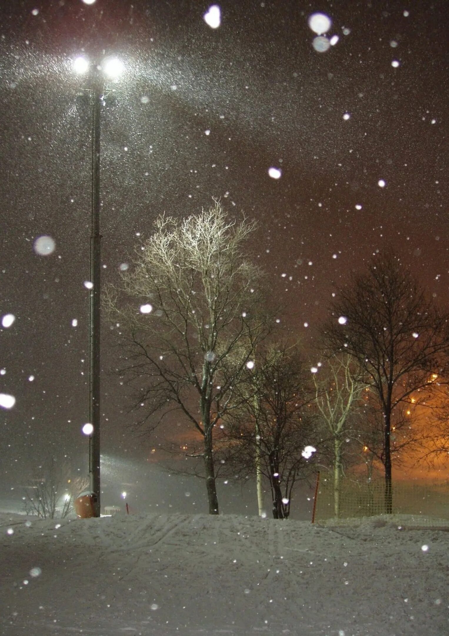 Снег идет. Красивый снегопад. Падающий снег. Снег ночью. Падает снег город