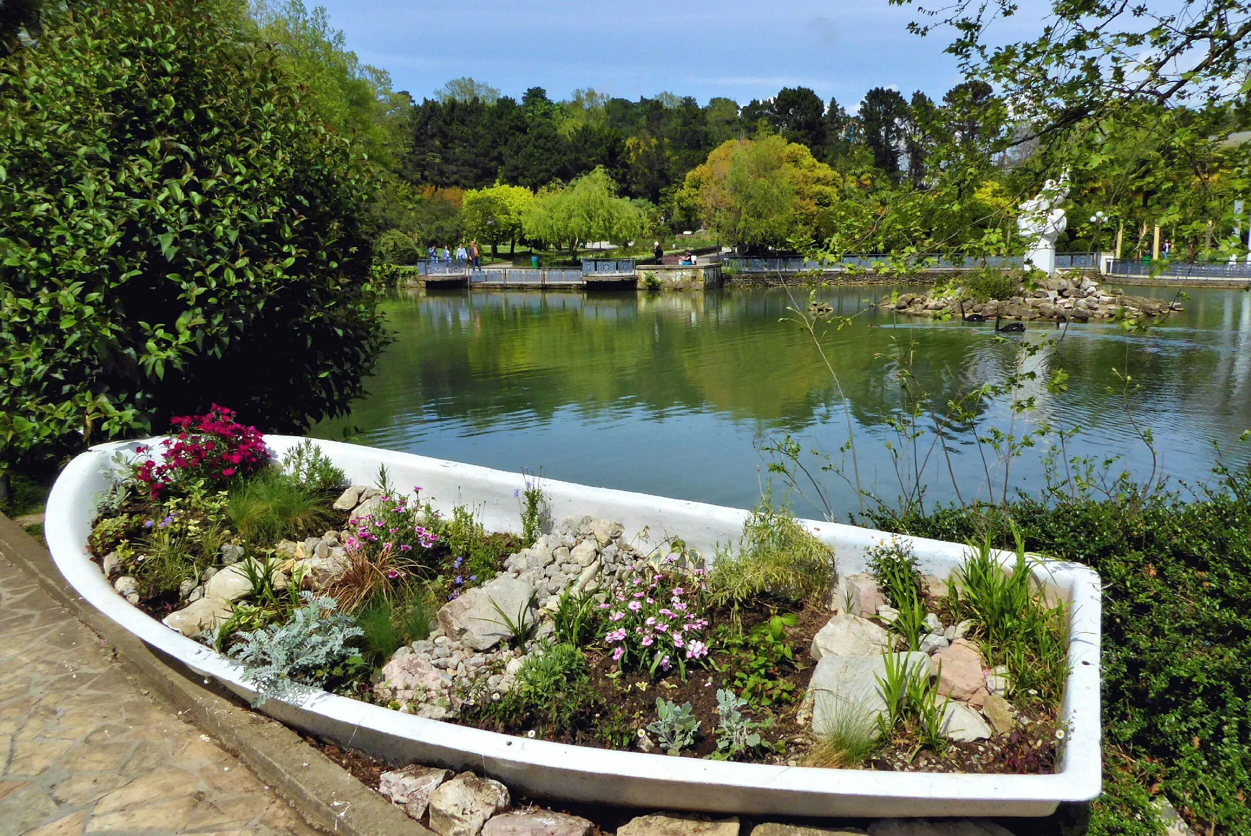 Пруд сочи. Дендрарий сочи пруд. Сочинский дендрарий сочи. Водоемы сочи. Дендропарк сочи адлер.