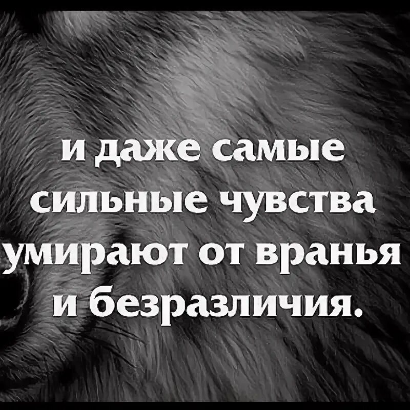 Песня твоего вранья. Даже железному терпению приходит конец. Даже железному терпению приходит конец и даже самые сильные чувства.