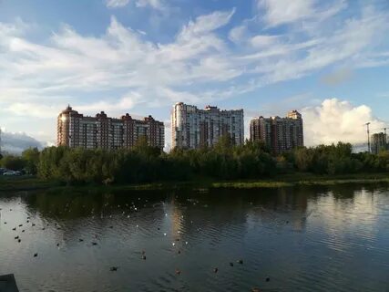 Парки сургута