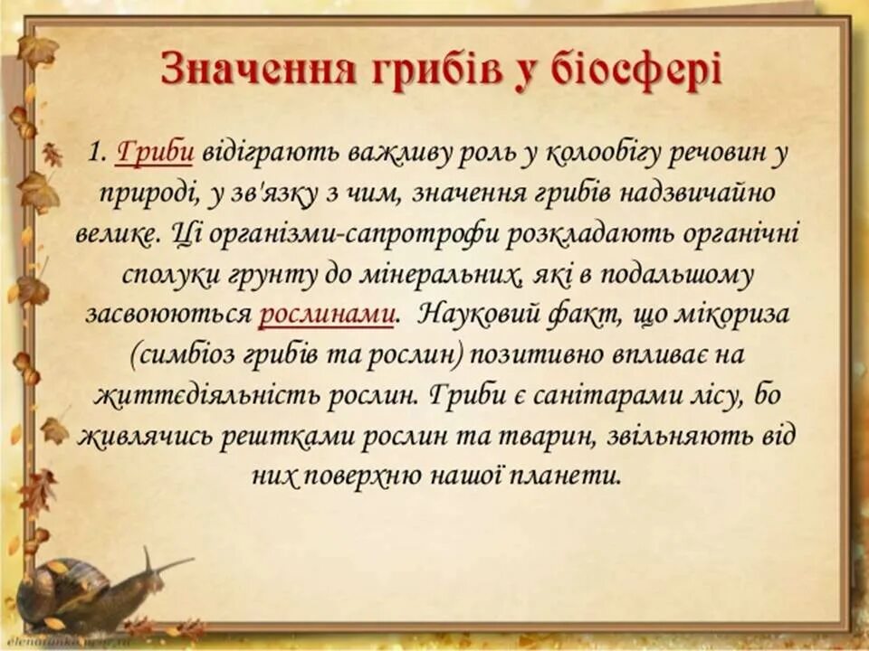 Міні проект значення грибів у природі та житті людини. Значення грибів у природі та у житті. Міні проект на тему значення грибів у природі та житті людини. Яке значення грибів у природі та для людини.. Мати значення