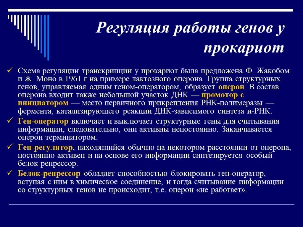 Регуляция генов прокариот. Регуляция активности генов у прокариот. Регуляция активности генов прокариот и эукариот. Схема регуляции работы генов у прокариот. Механизмы регуляции генной активности у прокариот.