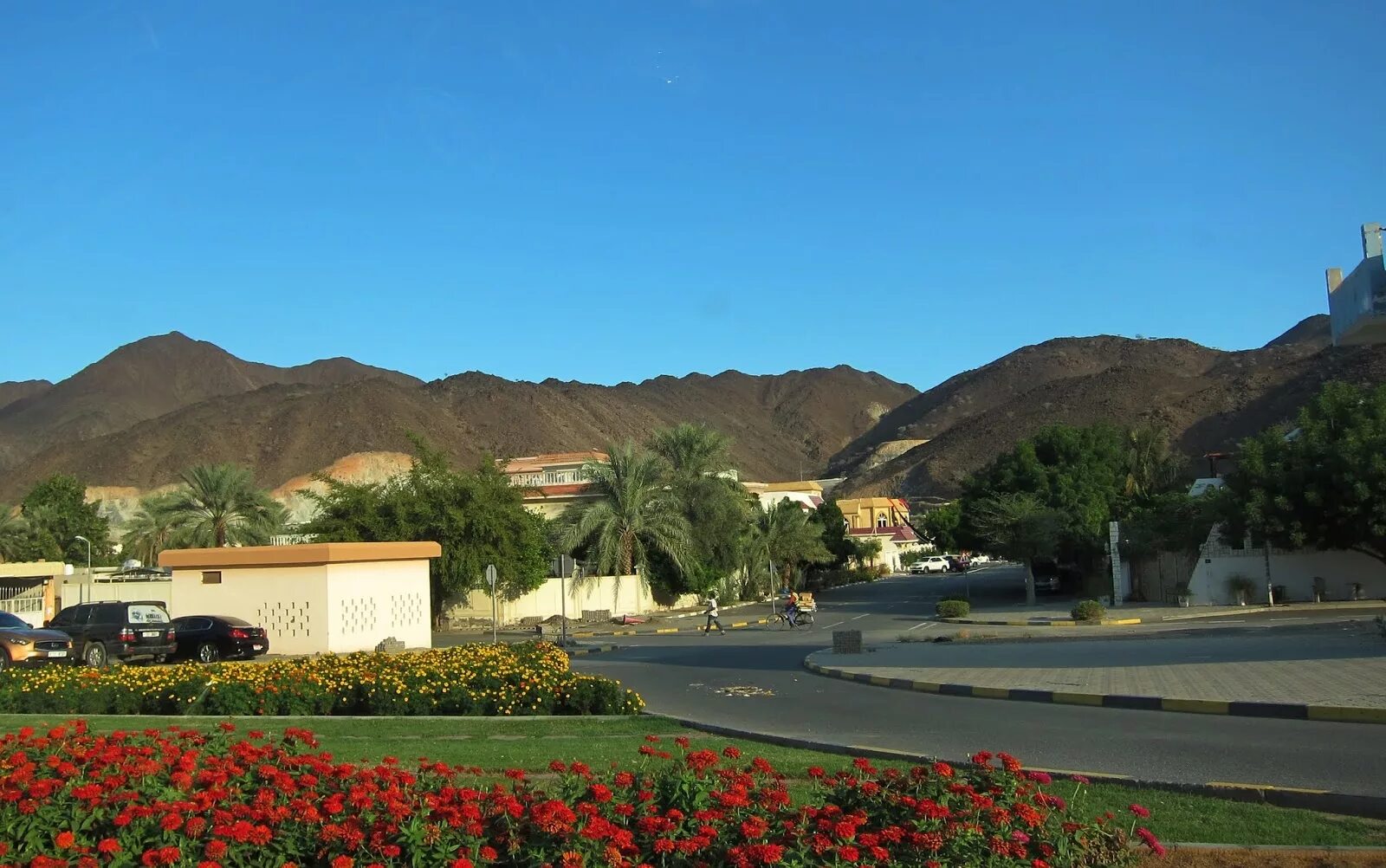 Погода на январь. Температура на фуджейре сейчас 14 дней. Температура в фуджейре по месяцам. Погода в новосибирске. Климат оаэ таблица.