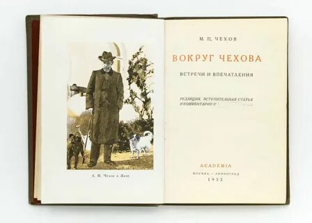 Рассказ чехова встреча