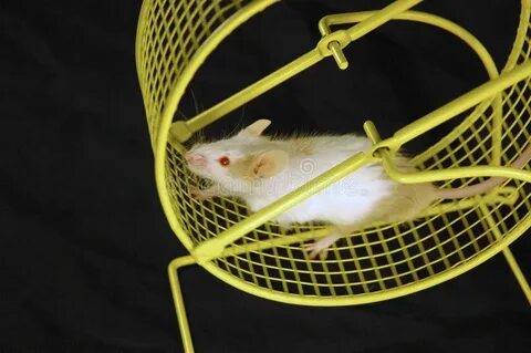 i?id=317ea3ce1846d8b89d5ffea3aa0c6178eec