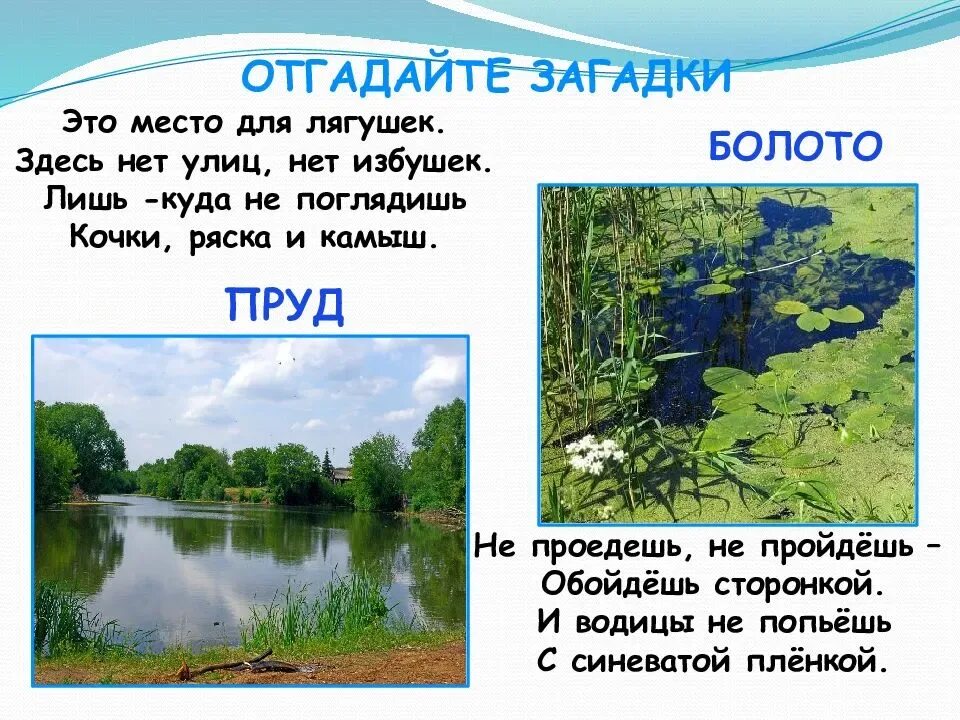 Прояви ответ водой. Загадки про водоемы. Загадки про водоемы для детей. Загадка про пруд для детей. Загадки про водоемы для дошкольников.