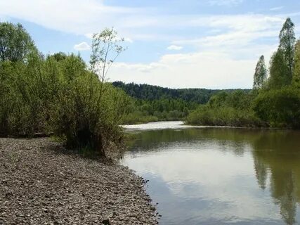 Река золотой китат