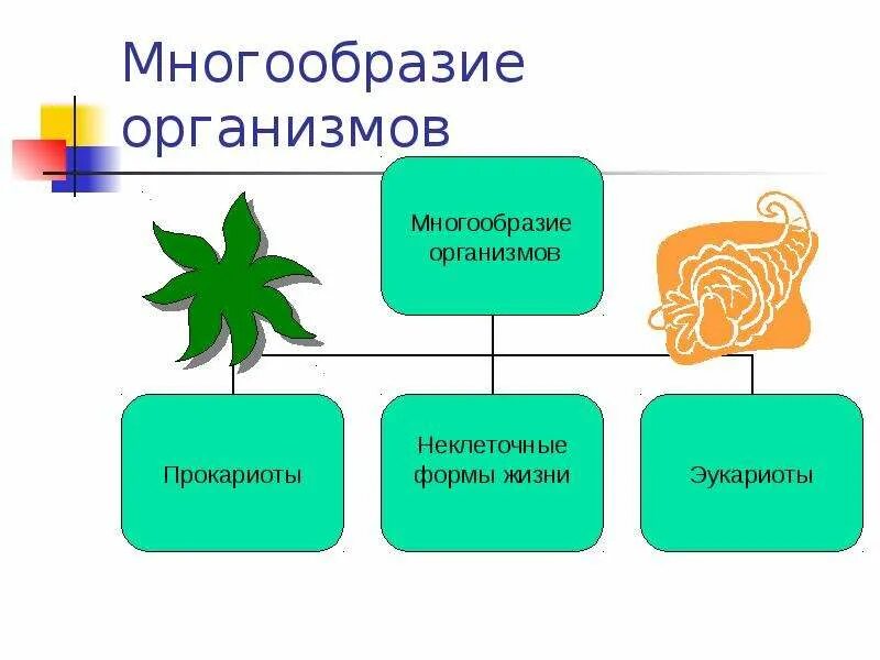 Тест культура и ее многообразие. Разнообразие организмов. Многообразие организмов таблица. Организм единое целое многообразие организмов. Расскажите многообразие организмов.