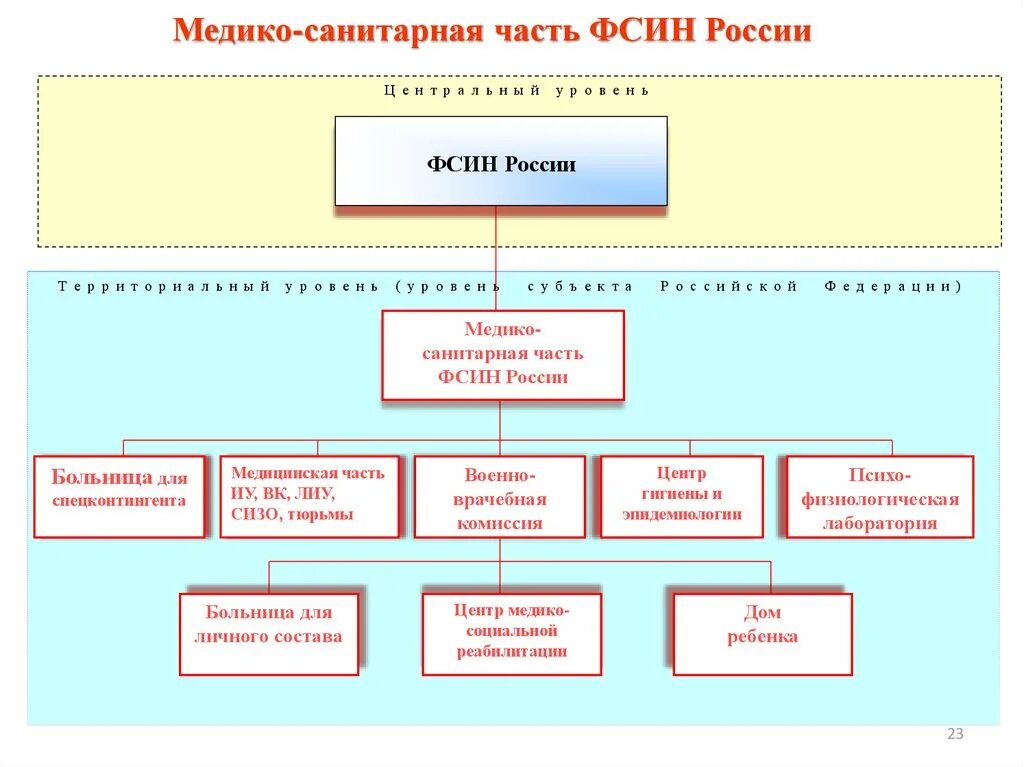 Структура территориального органа ФСИН России схема. Структурные подразделения ФСИН России схема. Структурная схема органов ФСИН России. Организационная структура ФСИН схема. Об органах и учреждениях уис