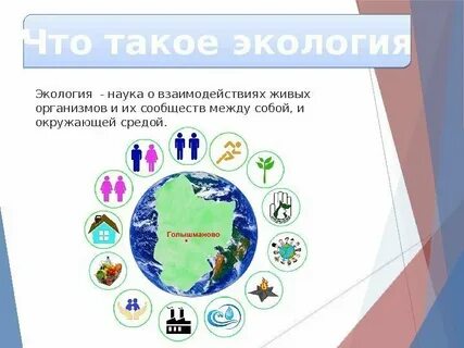 Экология живых организмов