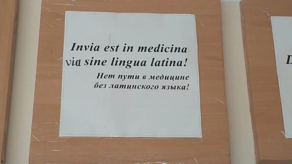 Золотая латынь. Латинский язык картинки. Латинский язык в медицине. Non est medicina sine lingua latina. Non est medicina sine lingua latina.