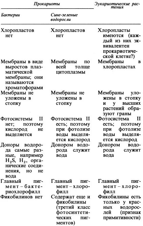 Сине зеленые водоросли таблица. Сравнительная таблица водорослей. Сходства водорослей и бактерий. Сходство и различие водорослей и бактерий.