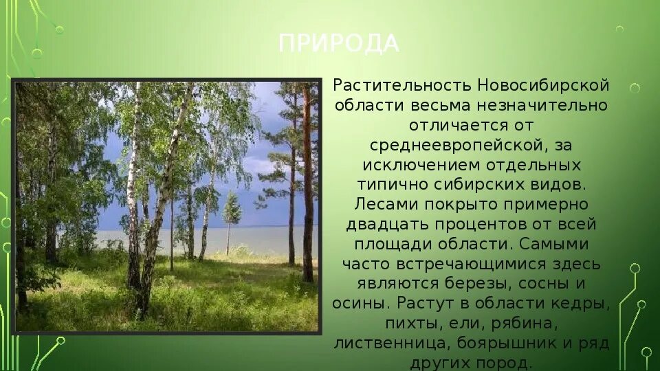 Информация природа россии. Природа родного края презентация. Сообщение о родном крае. Сообщение о крае. Проект родного края.