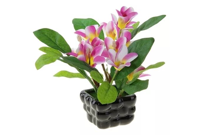 икеа цветок fejka фейка. цветок фиалка в горшке. к чему снятся комнатные цветы. приснились комнатные цветы. кампанула портеншлага синяя.