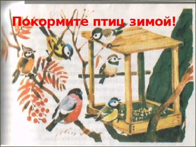 Беседа о зимующих птицах в старшей