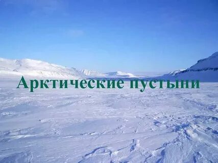 География 8 класс арктические пустыни и тундра