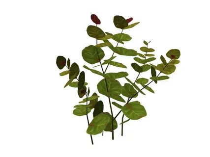 Plant sim