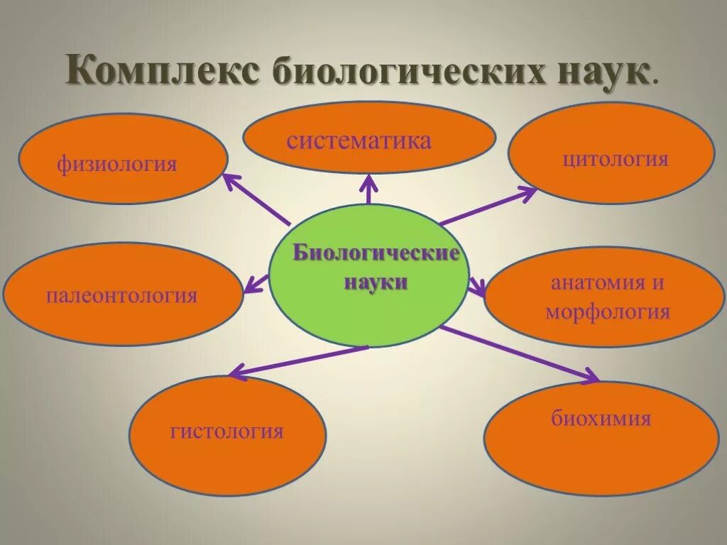 Какие бывают биологические науки 5 класс. Комплекс биологических наук. Комплекс биологических дисциплин. Биология комплекс наук. Комплекс биологических наук схема.