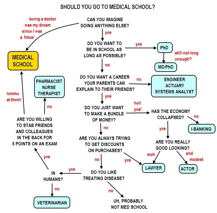 Doctor you should. How to be Doctor. Doctor should be. Stages of Medical career пояснения.