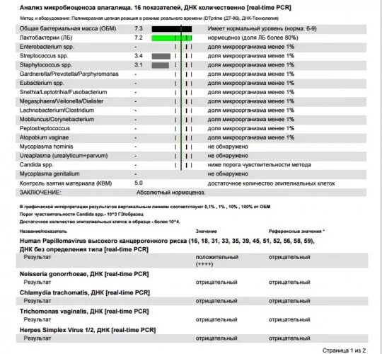 Расшифровка впч анализа у женщин в гинекологии. ВПЧ методом ПЦР. Результат анализа ПЦР ВПЧ. Микробиоценоз анализ у женщин. Исследование микробиоценоза влагалища.