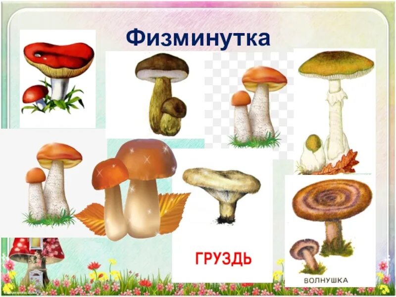 Назови 3 гриба. Про грибы для детей 3 класса. Царство грибов 3 класс окружающий мир. Нарисовать грибы 3 класс окружающий мир. Грибы нарисовать 3 класс по окружающему миру.