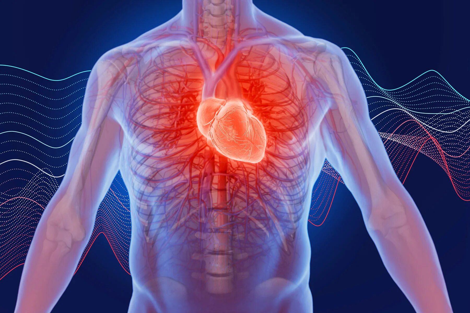Заболевания сердечной системы. Что такое патология сердца у человека. Сердечно сосудистая система.