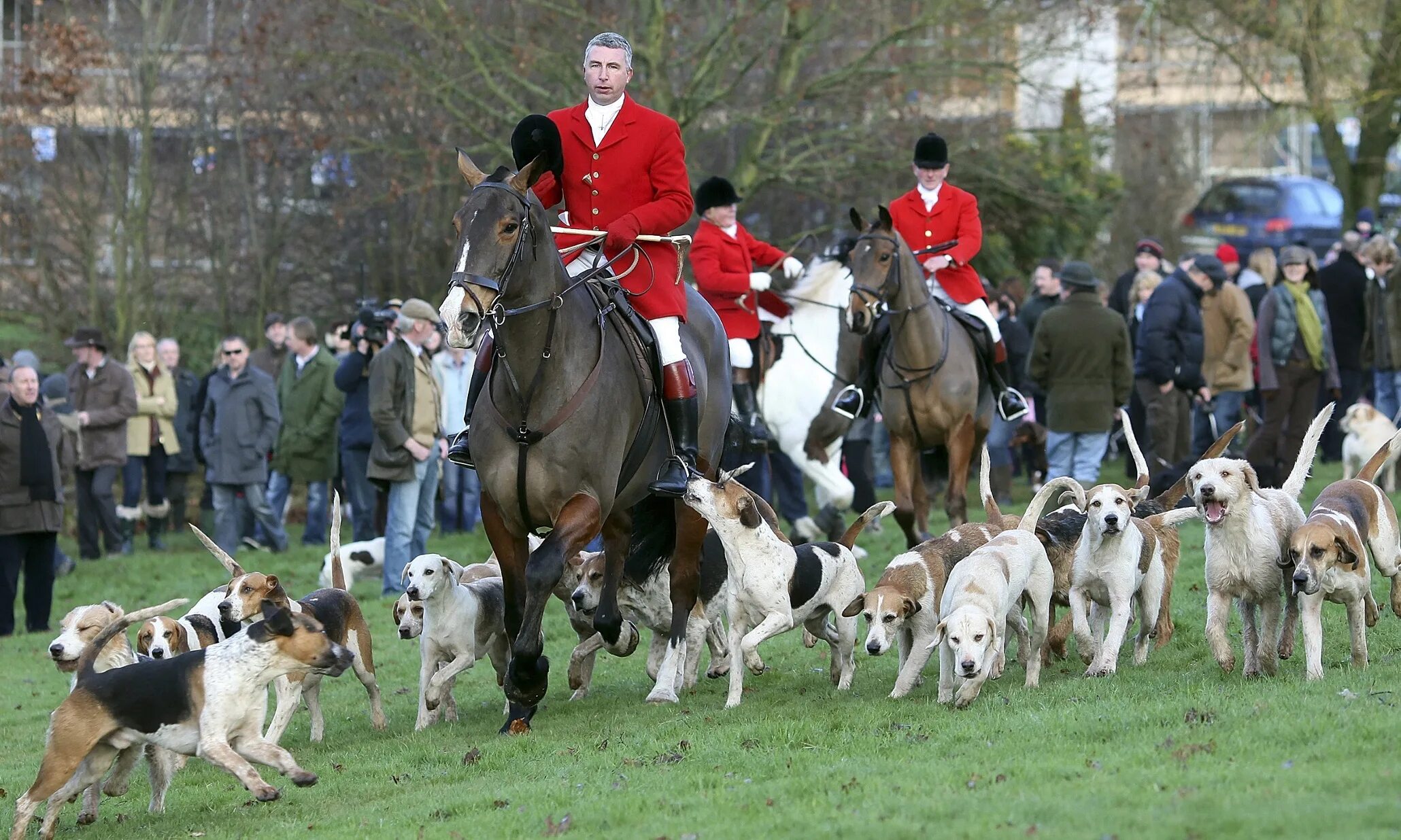 Фокс Хантинг. Fox Hunting England. Fox Hunting in Britain. Fox hunt