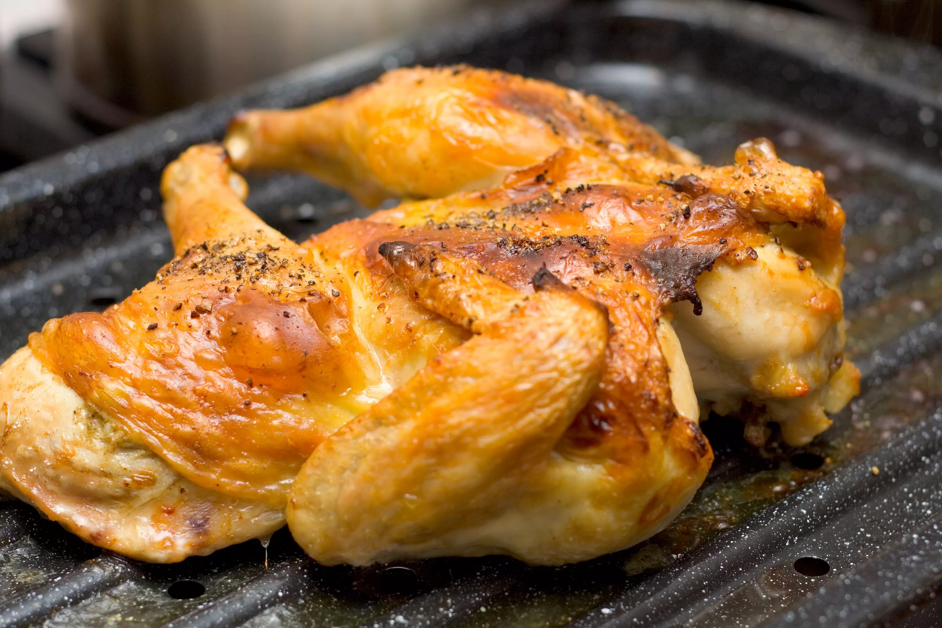 Курица легко и быстро. Курица еда. Блюда из курицы. Питание курицы. Пищащая курица.
