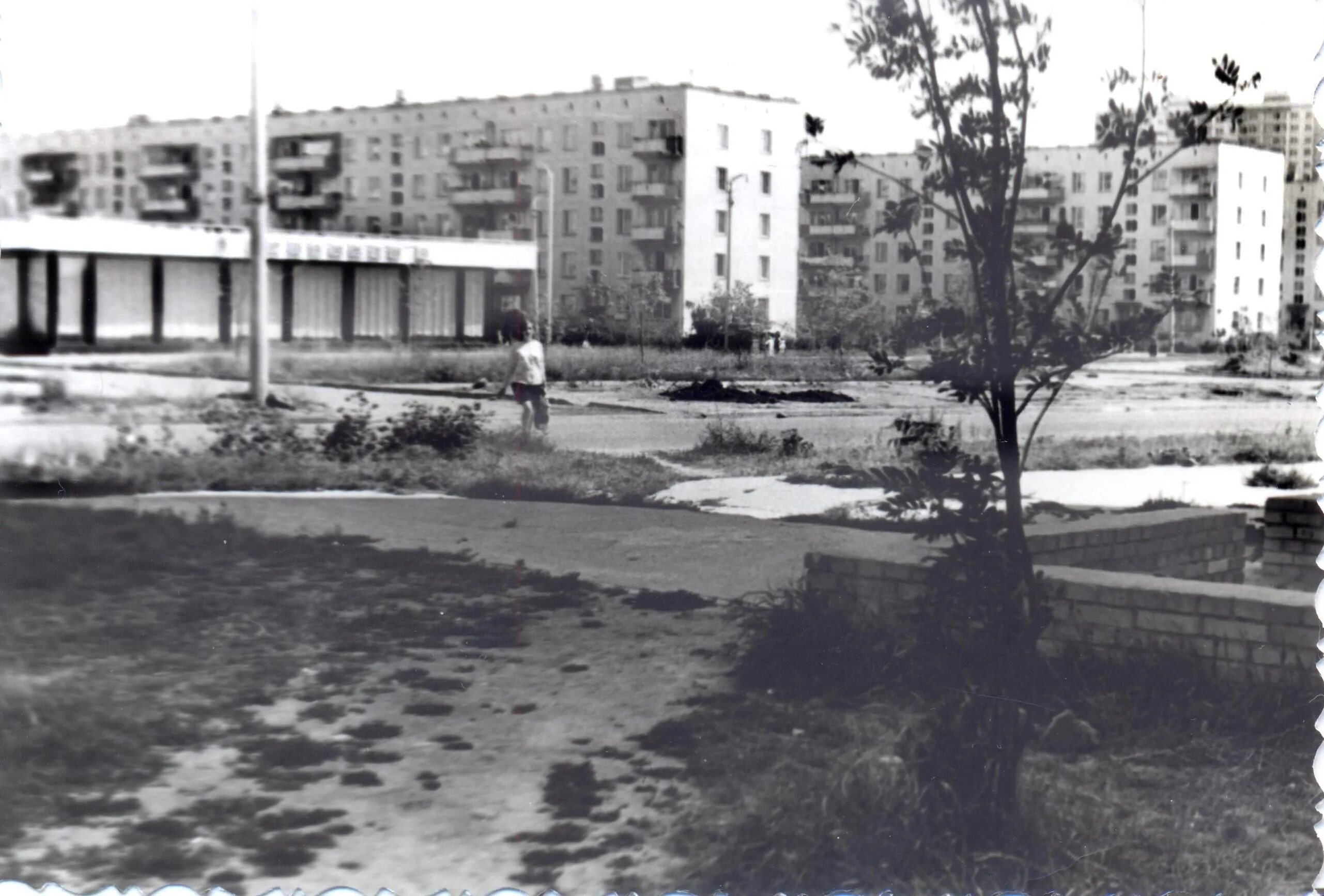 М 1972. Район Очаково-Матвеевское 1960. Очаково-Матвеевское в 1960. Матвеевская улица 34к1. Матвеевская 1972.