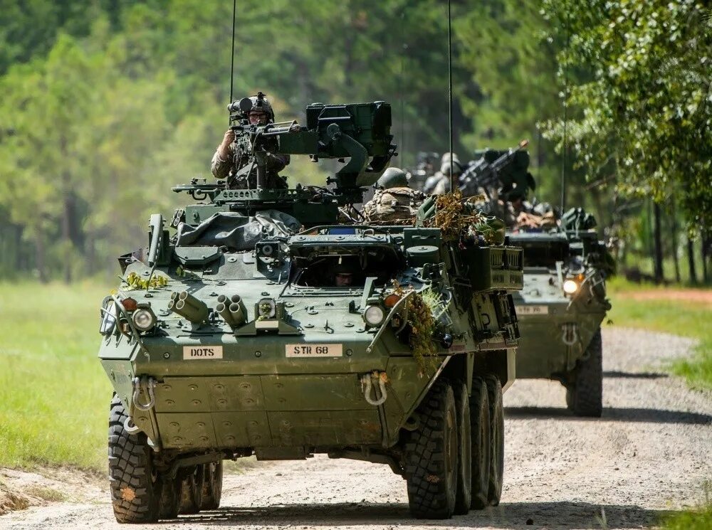 Stryker Combat vehicles. M1126 Страйкер. United States Army Stryker m1128. Страйкер НАТО.