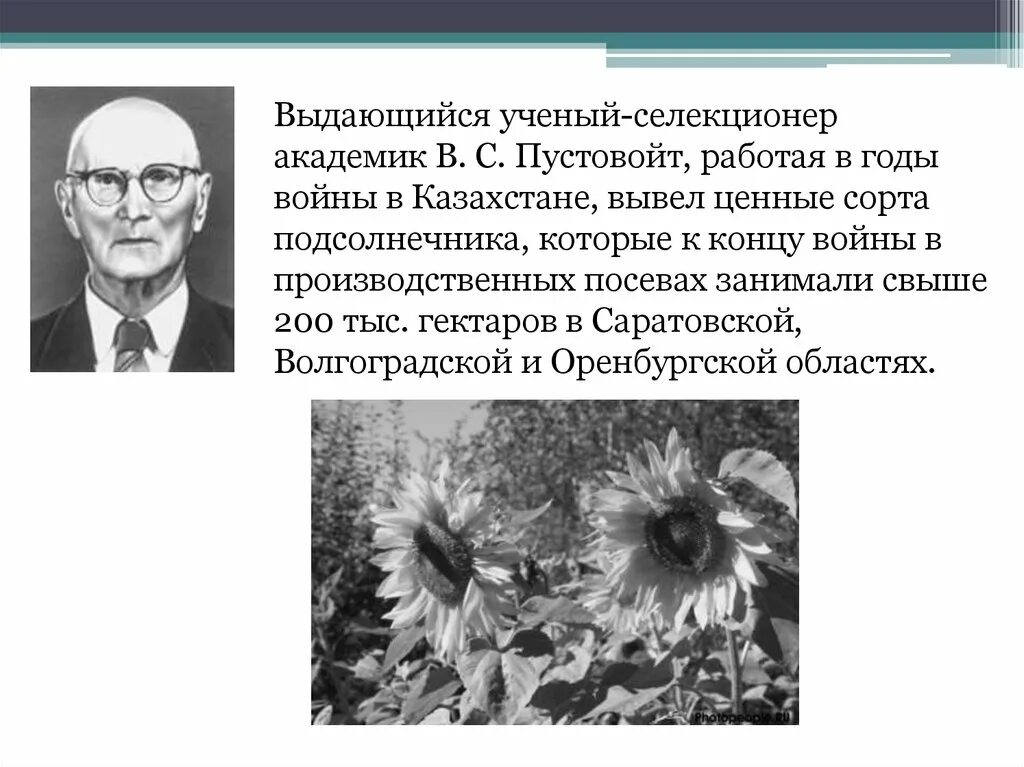 Селекция животных ученые. Селекция как наука. Известные ботаники ученые. Селекция животных ученые. Селекция ученые.