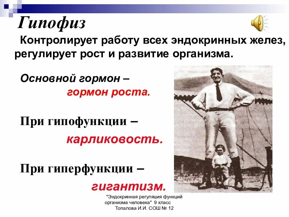 Гипофиз гормон роста. Гипофиз влияние на рост и развитие. Карликовость развивается при гипофункции. Гормон роста гипофиза кратко.