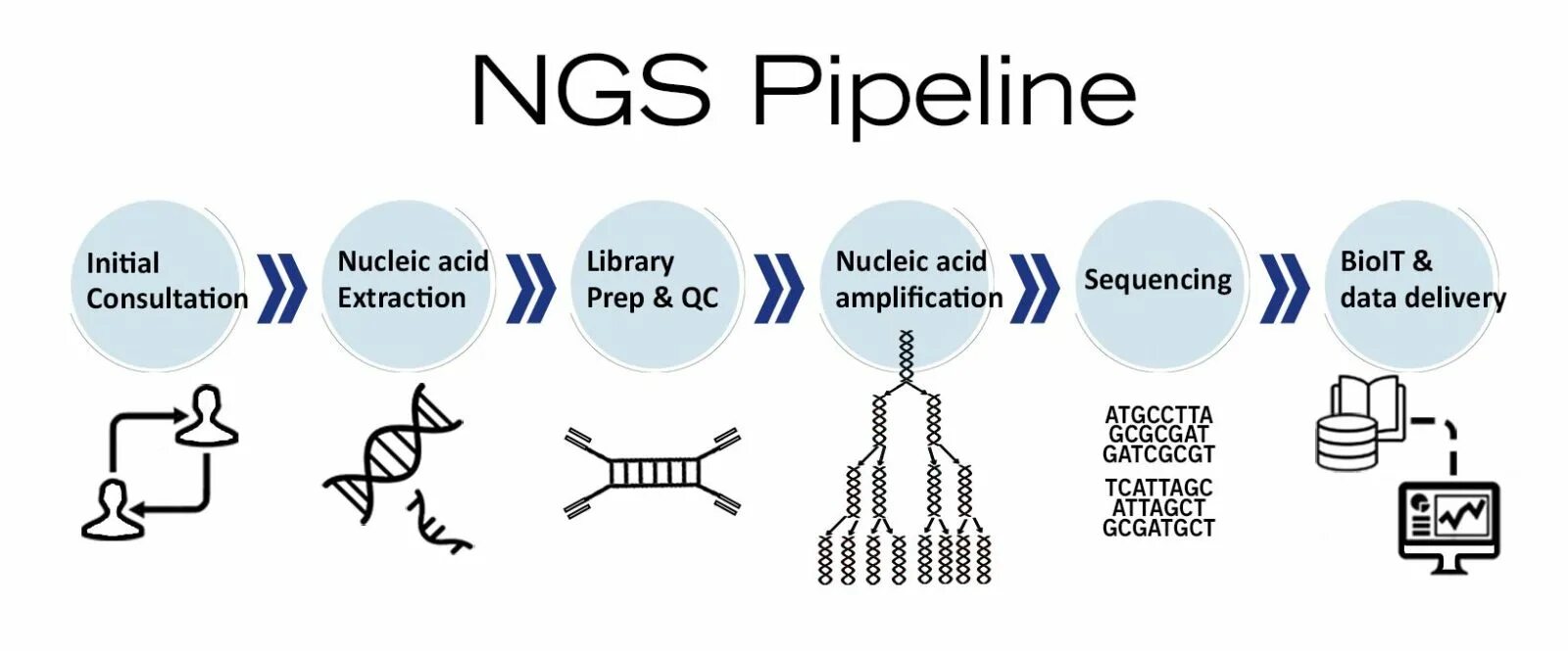 Ngs. Анализ NGS. NGS- данные. NGS (next Generation sequencing). NGS секвенирование.
