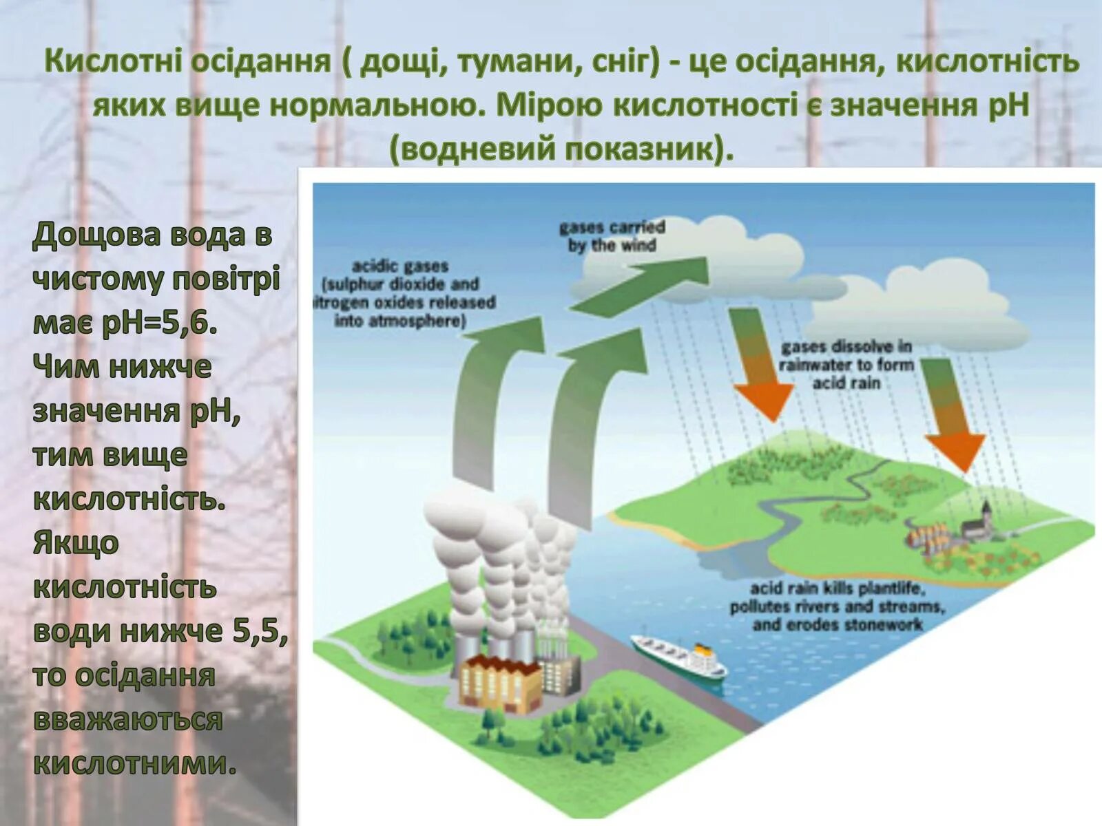 Английский 7 класс стр 77 acid rain. Кислотные дожди причины. Проект на тему кислотні дощі. Кислотные дожди на английском языке. Решение проблемы кислотных дождей рисунок.