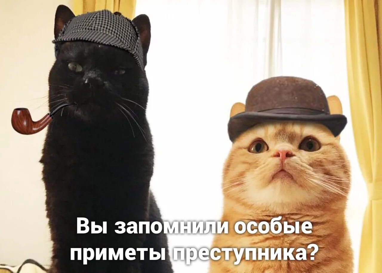 Особен тем
