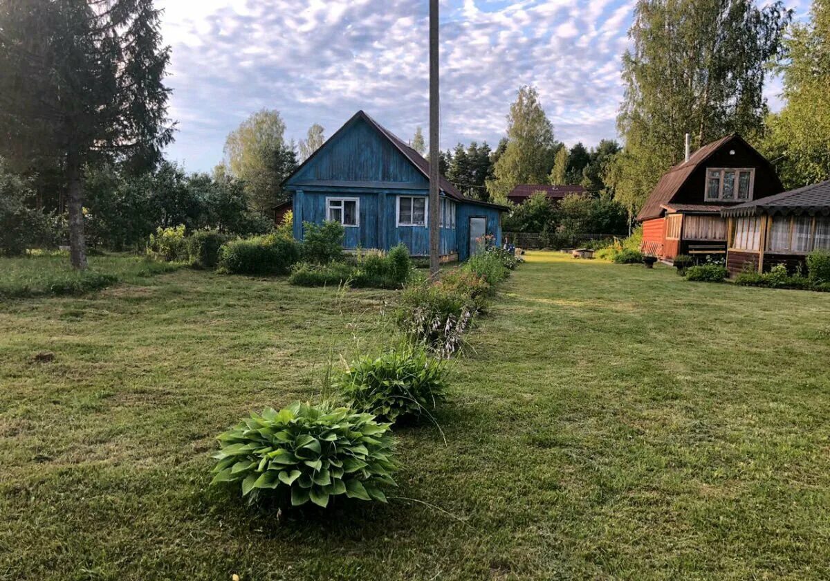 Деревенский загородный. В деревне и на даче. Деревенские дачи. Дача Сельская. Приусадебный земельный участок.