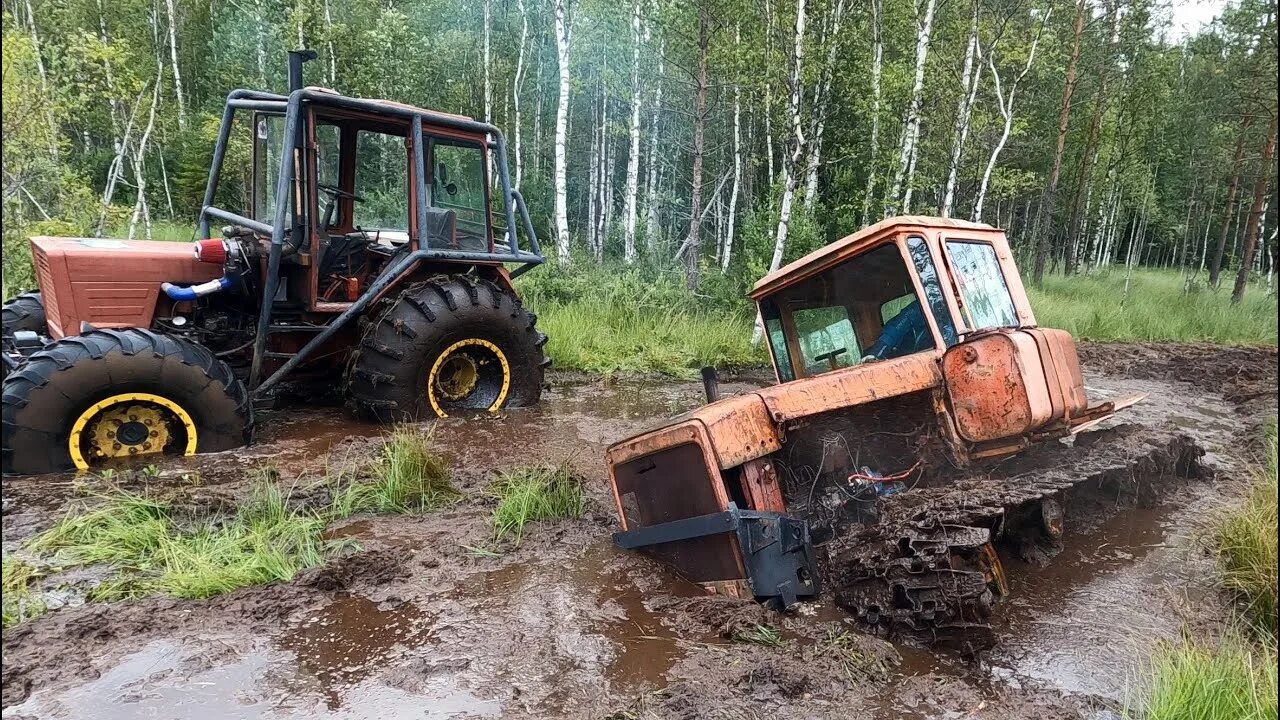 Комбат крю дт 75. Чтз т-100. Болотные тракторы. Трактор т 40 по бездорожью. Трактор дт 55 трелевочник.