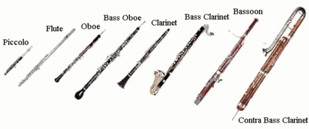 Каким инструментам относится кларнет. Гобой кларнет Фагот отличия. Флейта гобой кларнет Фагот. Фагот духовой музыкальный инструмент. Деревянные духовые инструменты флейта кларнет гобой Фагот.