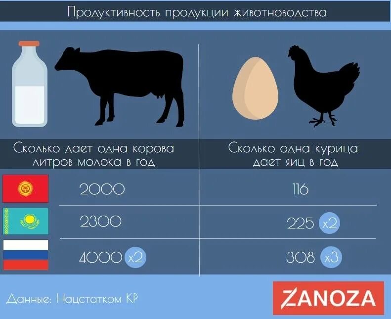 Сколько корова дает молока в сутки. Сколько литров молока дает корова в сутки. Удойность коровы в сутки. Сколько корова дает молока в год. Сколько корова в охоте