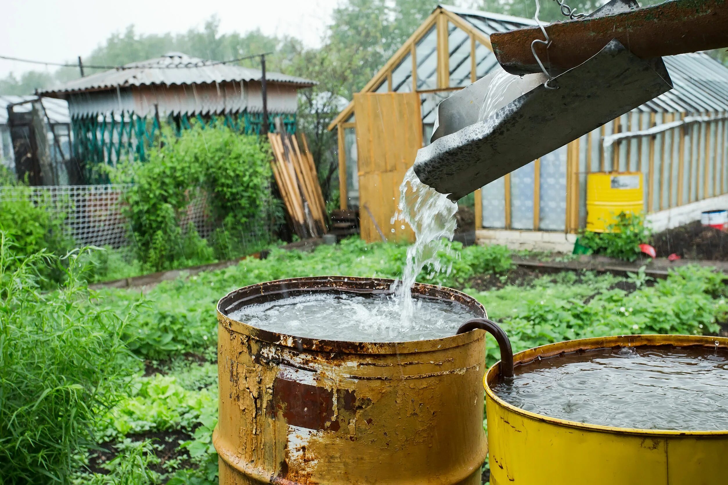 Залив воды в бочку. Бочка для полива. Бочки для полива на даче. Бочка для воды на дачу. Бочка для полива огорода.