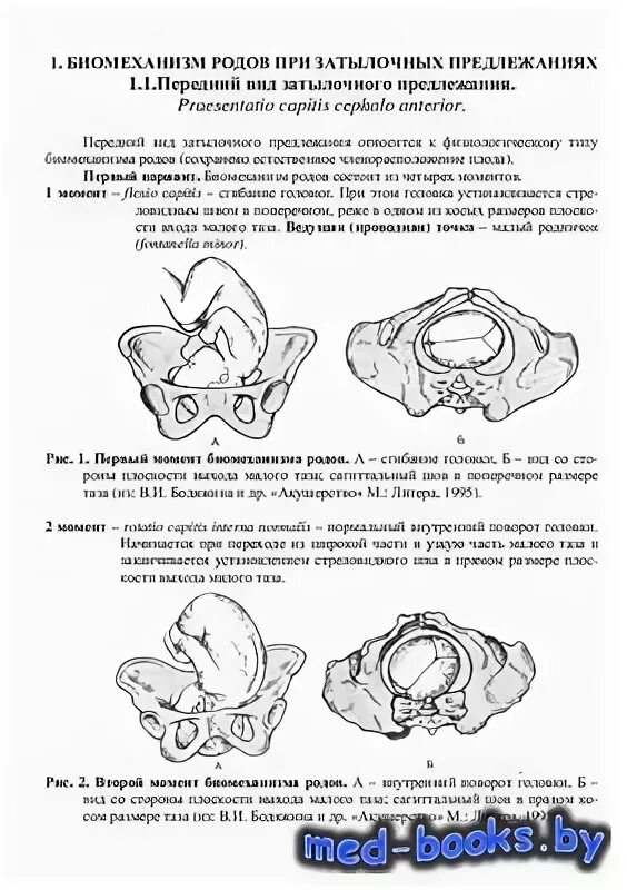 Самопроизвольные роды в затылочном предлежании. Биомеханизм родов Акушерство. Биомеханизм родов при переднем затылочном предлежании. Биомеханизм родов акушерское пособие. Биомеханизм родов Акушерство и гинекология.