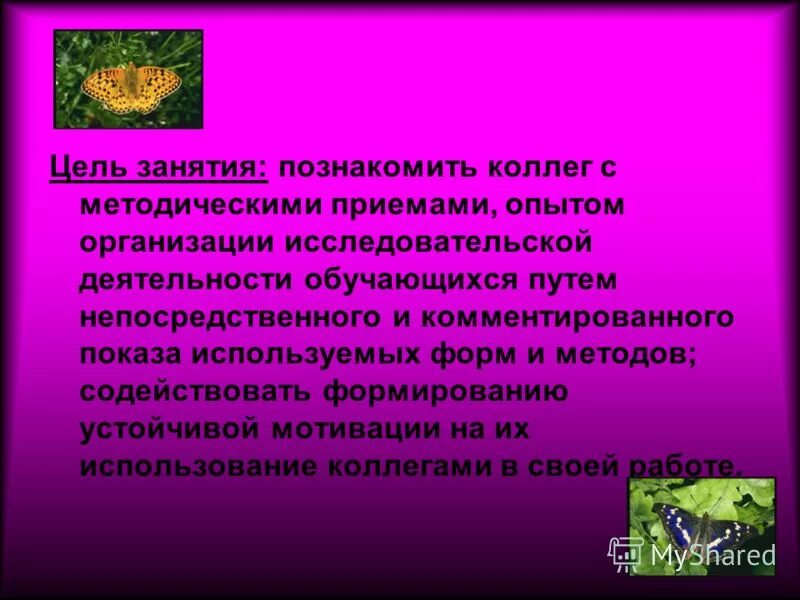 Методическая тема учителя биологии и химии. Темы выступлений по биологии. Методы биологии огэ. Темы выступлений по биологии. Темы выступлений по биологии.