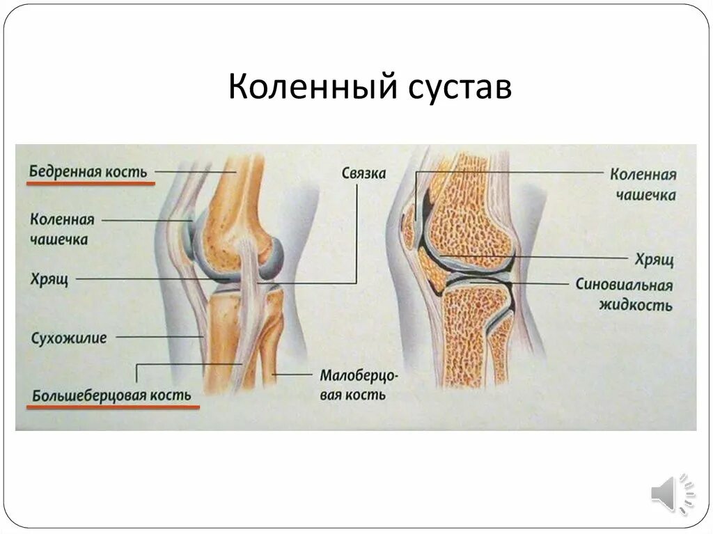 Связка называться