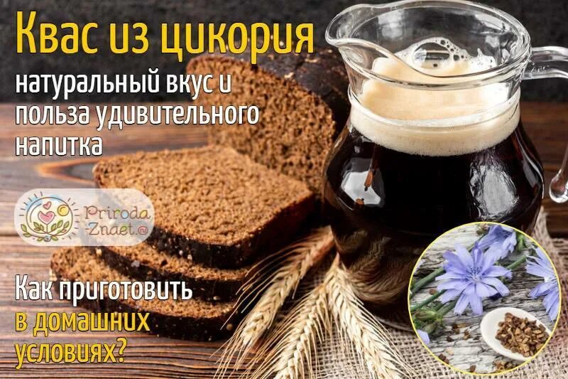 Рецепт кваса на цикории с лимонной кислотой. Квас из цикория. квас с цикорием. квас с цикорием рецепт. домашний квас из цикория.