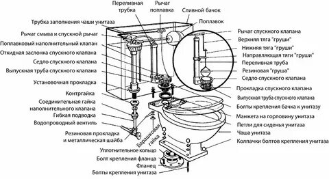 Принцип устройства унитаза
