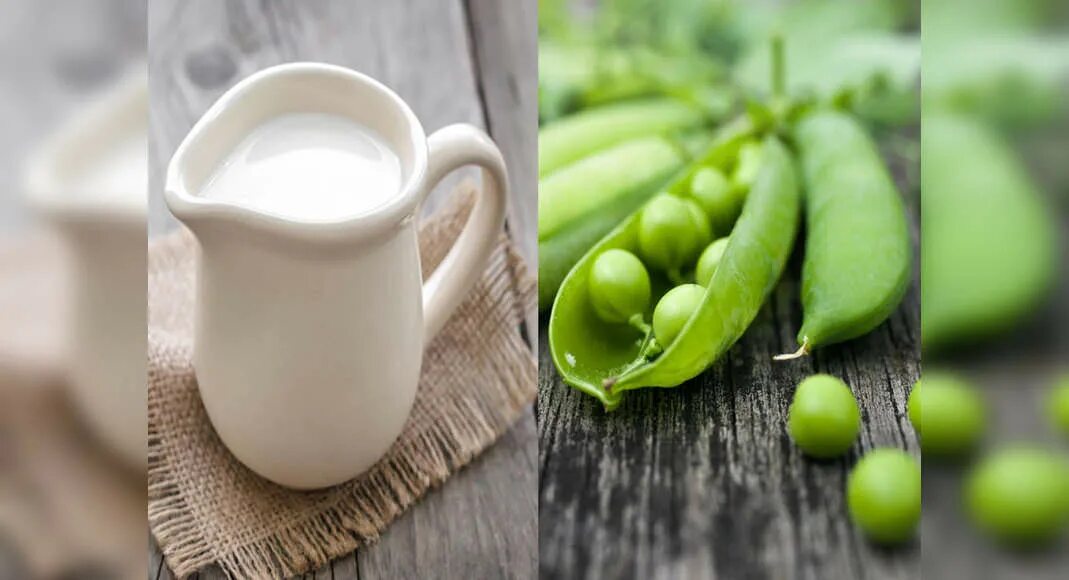 Молоко горох. Гороховый напиток. Naala молоко. Wunda pea milk. Pea milk.