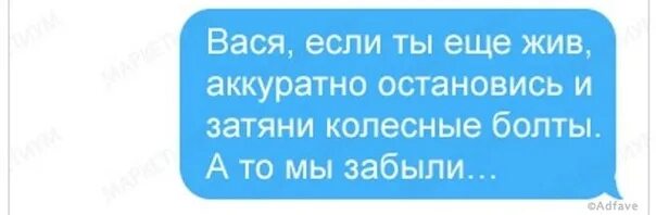 Вася если ты еще жив аккуратно остановись и затяни болты. Вася если ты еще жив аккуратно остановись. Вася если ты еще жив. Аккуратно остановись и затяни болты а то мы забыли. Что ответить на остановись