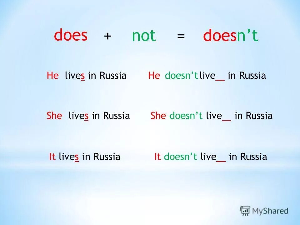 Live off фразовый глагол. предложения с lives. вспомогательный глагол do в английском языке. предложение со словом who. предложение со словом say.