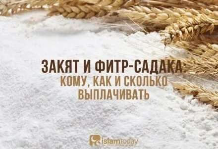 Фитр садака кому можно давать кому нельзя